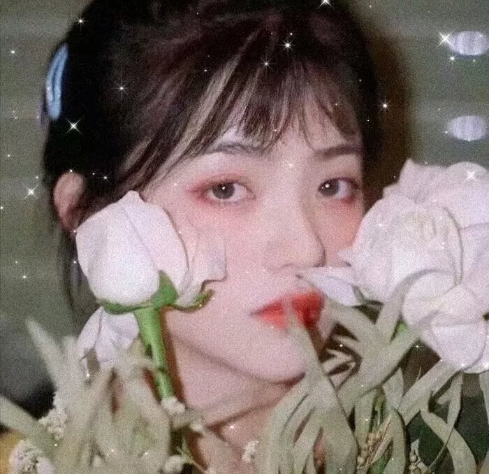 通心树粤语